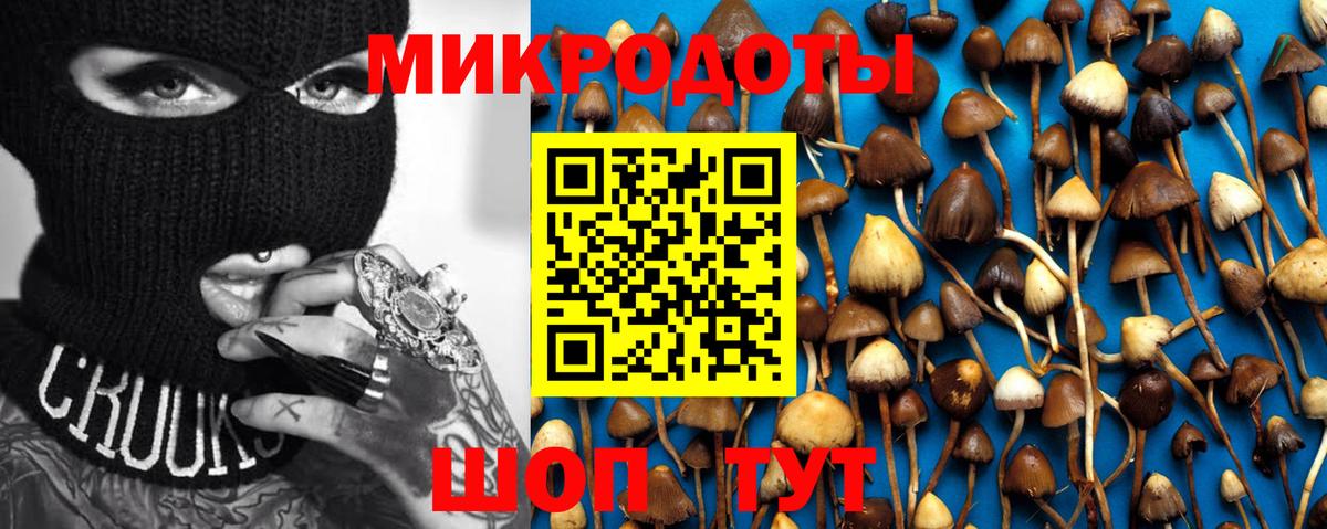 Ливны  купить наркотик  Псилоцибиновые грибы Magic Shrooms  Вход с VPN  Галлюциногенные грибы MAGIC MUSHROOMS 