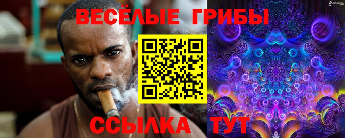 Галлюциногенные грибы Magic Shrooms Ливны